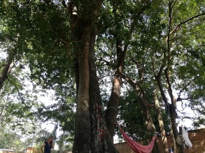 Parque Pavetti: Vecinos pasarán la noche en el predio
