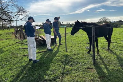 Dos detenidos por carrera clandestina en Cecilio Báez