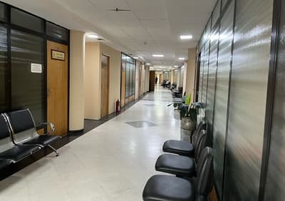 Gobierno declaró asueto este 31 de diciembre para funcionarios públicos