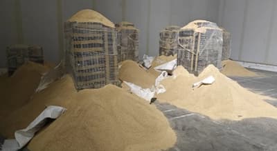 Incautan 3.600 kilos de cocaína en Portugal en carga procedente de Paraguay