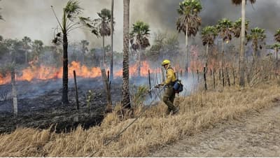 Fiscalía investiga fincas por incendio en  Chovoreca