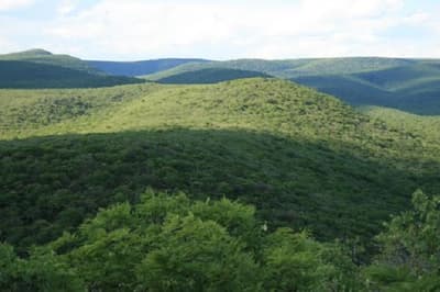 Revelan existencia de mina de diamantes en Cerro León