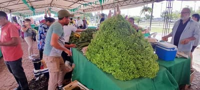 Feria de la Agricultura familiar en el microcentro de Asunción
