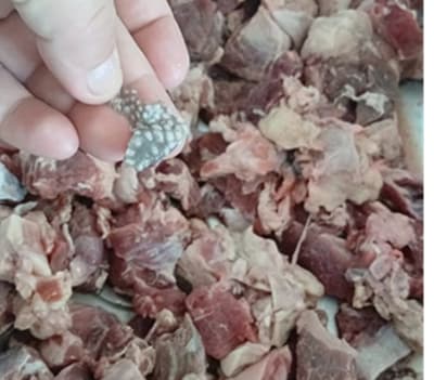 Hambre Cero: denuncian carne “de primera” para alumnos