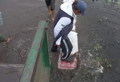 Inundaciones en Ñeembucú afectan a más de 2.000 familias
