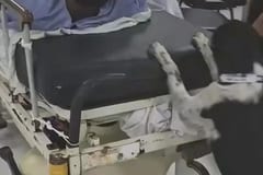 Perrito que acompañó a su dueño accidentado consigue hogar temporal