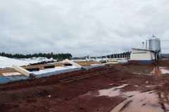 Meteorología analiza si hubo un tornado en Caaguazú