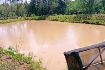 Tragedia en Itapúa: buscó a su hijo de 2 años y lo halló flotando en un estanque