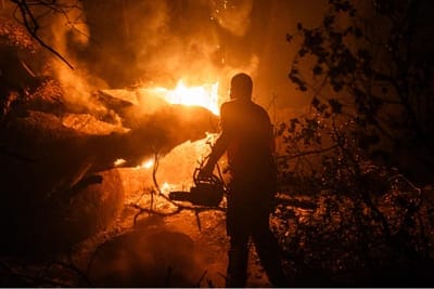 Incendios forestales en España: más de 106.000 evacuados y 152.678 hectáreas arrasadas