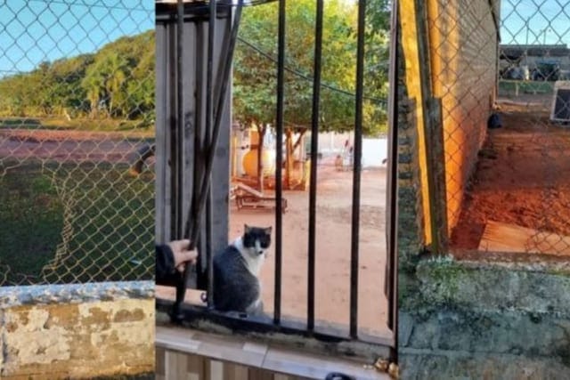 Alarma por fuga de dos reos de alta peligrosidad en Misiones