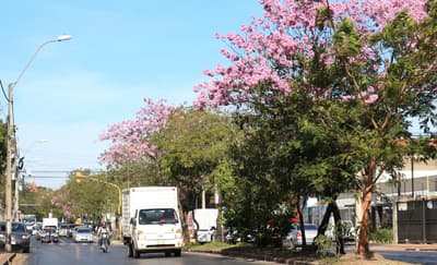 Soleado y sin lluvias para el resto de la semana
