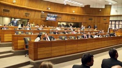 Diputados aprueba anulación de facturas de ANDE y ESSAP