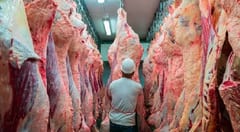 ¿Cómo beneficia a Paraguay la medida de EE. UU. sobre la carne molida?