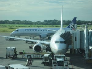 Aerolínea flexibiliza política de cambio de boletos