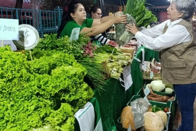 Ferias de agricultura familiar llegan a cuatro ciudades