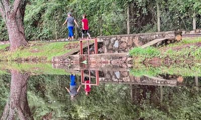 Renuevan el parque Ñu Guasu para preservar su entorno