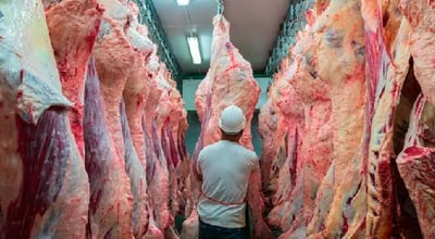 ¿Cómo beneficia a Paraguay la medida de EE. UU. sobre la carne molida?