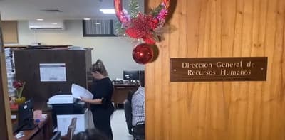 Nepobabies: Sin renuncias oficiales aún