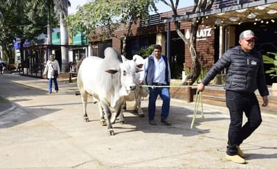 ARP y UIP se separan para la organización de la Expo, pero aseguran su continuidad
