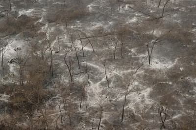 Devastador incendio en el Chaco deja 180.000 hectáreas calcinadas