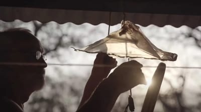Ciclo de Cine Paraguayo del CCPA celebra su décima edición