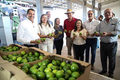 Paraguay exporta limón Tahití por primera vez: un hito para la agricultura familiar