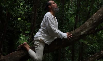 “Feral”: Una exposición que da voz a la fauna nativa en peligro