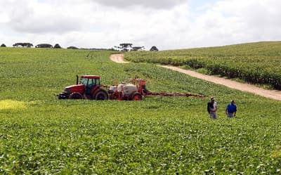 Producción de soja en riesgo por déficit de lluvias en el país