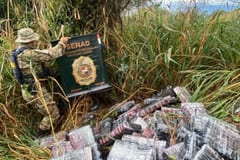 Senad incauta 728 kilos de marihuana en Canindeyú