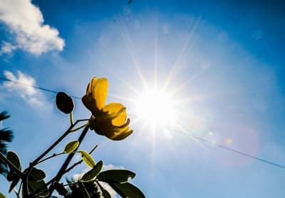 Clima en Paraguay: temperaturas en ascenso y cielos despejados