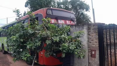Chofer de la línea 133 se desmayó y el bus chocó contra una casa en Ñemby, dejando a la familia atrapada