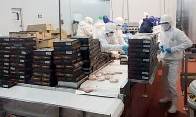 Senacsa suspende conocido frigorífico
