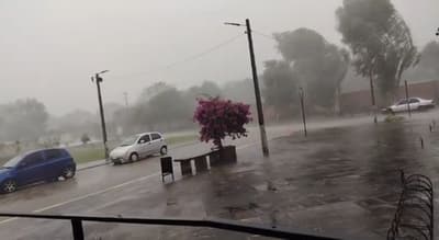 Temporal dejó cortes de luz y caída de árboles en Pilar