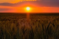 Vientos de hasta 90 km/h y calor persistirán en gran parte del país