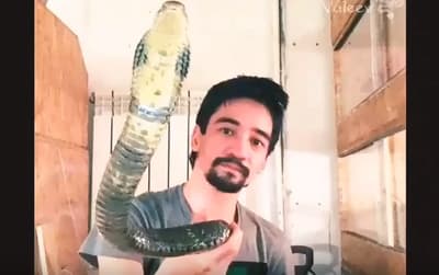 Youtuber transmite en vivo su suicidio