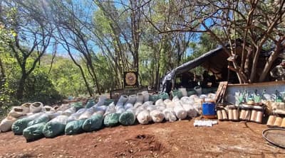 Senad desmantela sofisticado campamento de procesamiento de droga