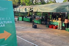 Ferias de Agricultura Familiar llegan a San Lorenzo y Lambaré