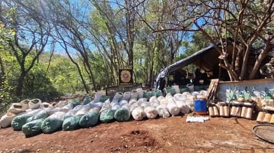 Senad desmantela sofisticado campamento de procesamiento de droga