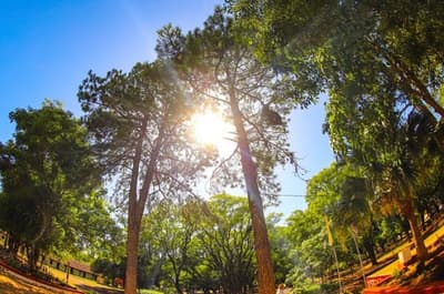 Pronóstico del tiempo: calor sofocante y tormentas eléctricas a la vista