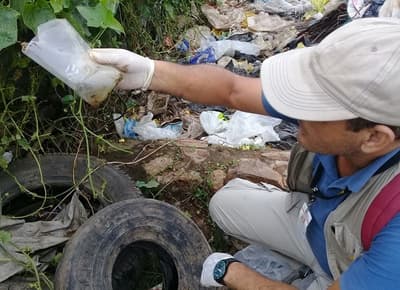 Registran aumento de notificaciones de dengue en las últimas semanas