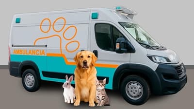 Impulsan campaña por una ambulancia para animales