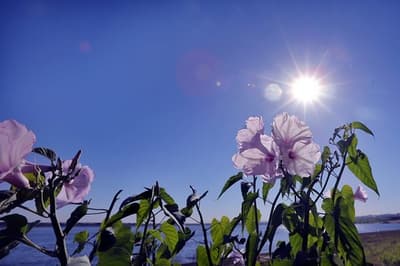 La primavera llega con 40° de calor y chaparrones al noreste del país