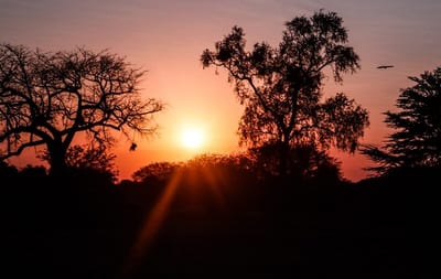 Anuncian primer día del 2022 con altas temperaturas
