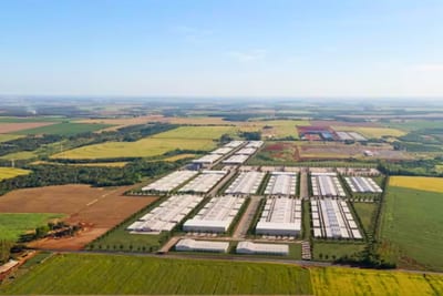 Araico invertirá USD 12.000 millones en un gran centro de datos en Yguazú