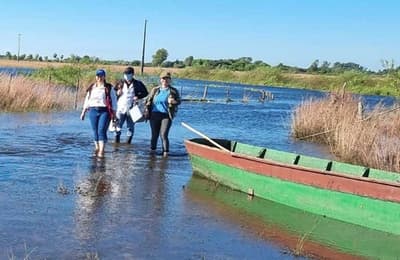 Casos de picaduras de animales ponzoñosos en zonas afectadas por inundaciones