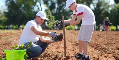 Invitan a plantar árboles nativos en Yaguarón