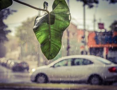 Pronostican miércoles caluroso con chaparrones y tormentas aisladas por la tarde