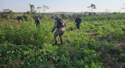 Operativo “Jeporeka” avanza en la Reserva Natural del Mbaracayú