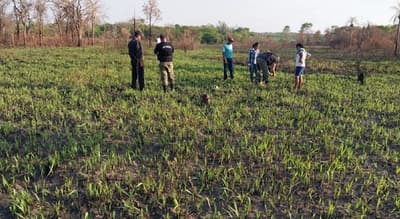 Restos óseos hallados en Bella Vista, podrían pertenecer a una mujer