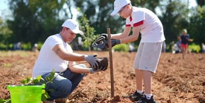 Invitan a plantar árboles nativos en Yaguarón
